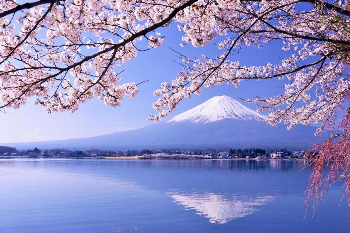 關東．富士山日本平７日